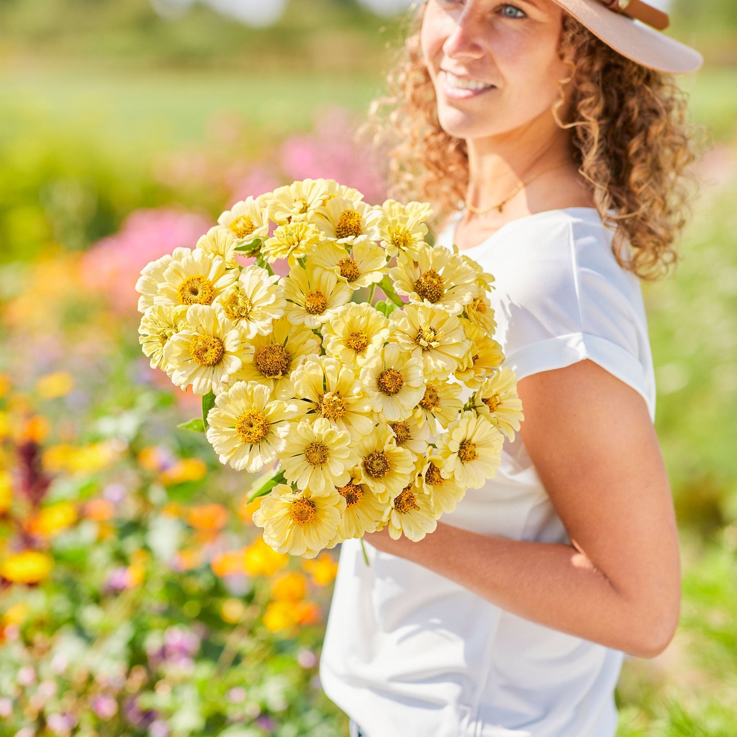 Zinnia Seeds - Isabellina